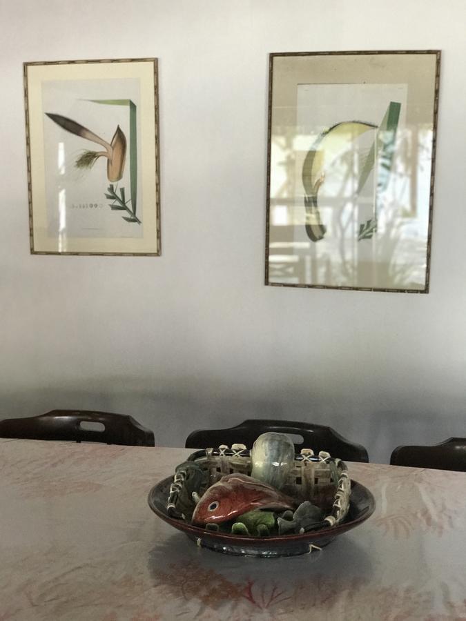 Casa Amor Do Mar Armacao dos Buzios Dış mekan fotoğraf